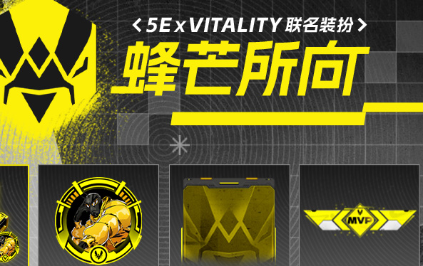 蜂芒所向！Vitality布达佩斯Major传奇组征程全解析，Zyw